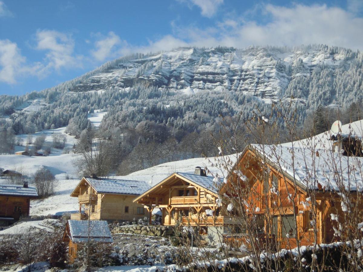 A4 Km De Megeve Tres Joli Studio Avec Jacuzzi ,Vue Sur Les Montagnes Au Calme Пра-сюр-Арлі Екстер'єр фото